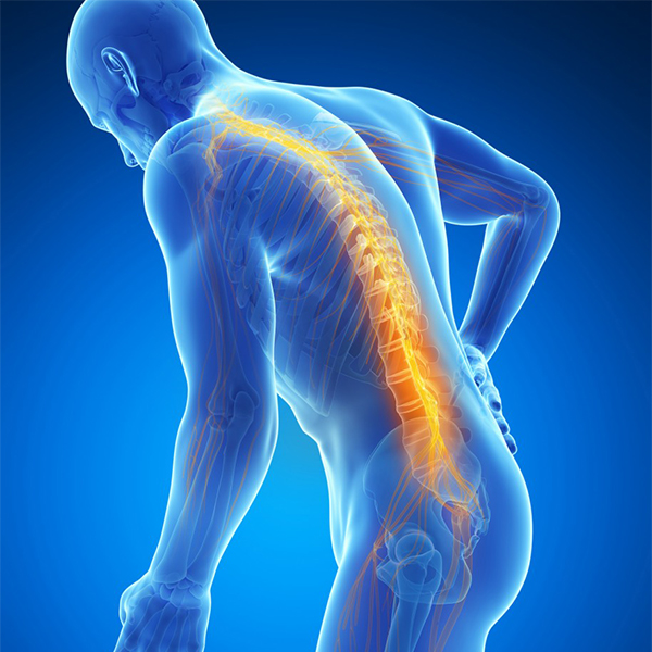 Trastornos de la columna y médula espinal